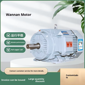 Motore Asincrono Trifase Serie YE5 di Industry Wannan Electric (Anhui) |   Bobina in Rame Pieno |   Efficienza IE5 |   1500 giri/min - Product Image 4