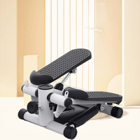 New Balance Mini Stepper Portable Peddle Exercise Machine Nice Day Rose Steel Mini Stepper pour Gym Use
