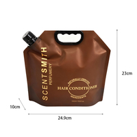 Sac à boisson liquide personnalisé de 1L, 2L, 5L avec bec verseur, emballage pour jus, eau, sac en plastique réutilisable, sac à vin