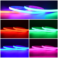 Bandes LED programmables pleine couleur 24V COB IP68 WS2811 avec circuit intégré externe pour bars et KTV