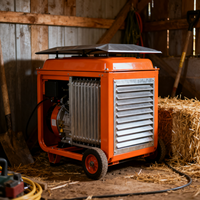 Groupe électrogène diesel portable 3kW 5kW 6.5kW 8kW 10kW, protection IP54, enroulement 100% cuivre, durée de vie de 20 ans pour éolienne/hydraulique