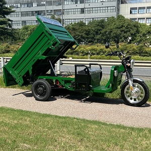 Tricycle électrique certifié Autohoist 45 km/h EEC COC en stock moteur haute puissance <span class=keywords><strong>moto</strong></span> à trois <span class=keywords><strong>roues</strong></span> batterie 58 Ah - Product Image 6