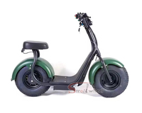 Brésil Citycoco Scooter Citycoco Batterie Citycoco Chargeur Citycoco 1000W 60v 12ah Batterie Moto Électrique