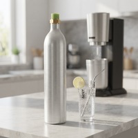 Cylindre de CO2 certifié CE et DOT, recharge de cylindre de CO2 pour eau gazeuse, cylindre de CO2 personnalisable de 0,6 l