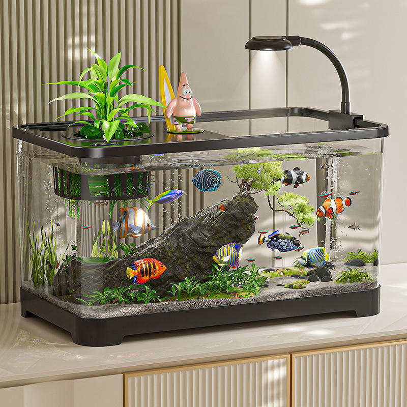 Centerpiece Fish For 20 Gallon Betta Community Tank Modern Mini