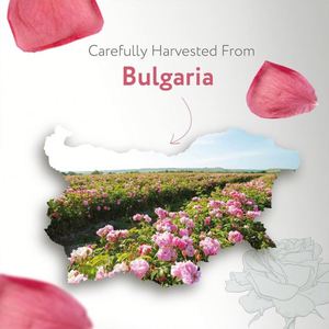 โทนเนอร์บำรุงผิวหน้าด้วยน้ำกุหลาบออร์แกนิก100% ให้ความชุ่มชื้นสเปรย์ละอองน้ำที่ทำจากดอกกุหลาบบริสุทธิ์ - Product Image 3