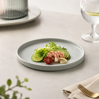 Assiette Ronde Plate en Mélamine Écologique Gris Mat Incassable Compatible Lave-Vaisselle 50 Pièces pour Restaurant Hôtel Fête