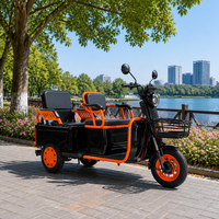 Sepeda Motor Listrik Roda Tiga 500W 60V Jarak Tempuh 60KM Skuter Mobilitas Sepeda Motor Skuter Listrik Roda 3