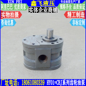 Pompe à engrenages basse pression série CBJ en fonte pour lubrification, transfert d'huile, hydraulique - Product Image 3