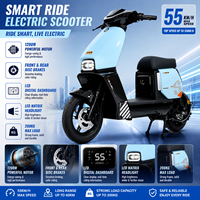 Motocicleta Eléctrica para Adultos, sin Escobillas, 1200W, 55Km/h, 200kg, Multivoltaje, Legal para Circular por la Calle