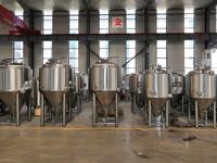 Cuve de Fermentation Conique Hermann 1000L en Acier Inoxydable 304, Cuve à Pression Enveloppée pour Microbrasserie, Équipement de Brassage