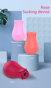 Mainan Seks Usb Dapat Diisi Ulang 10 Frekuensi Silikon Klitoris Mawar Klitoris Klitoris Vibrator Mengisap untuk Wanita - Product Image 4