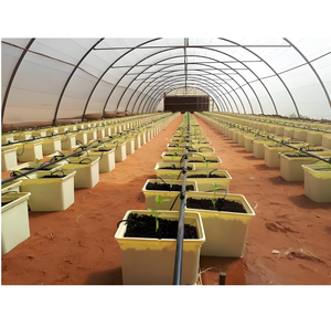 Équipement hydroponique Kit d'irrigation Pot <span class=keywords><strong>de</strong></span> plantation Système <span class=keywords><strong>de</strong></span> seau hollandais Bato pour la culture <span class=keywords><strong>de</strong></span> la tomate du concombre du poivron - Product Image 3