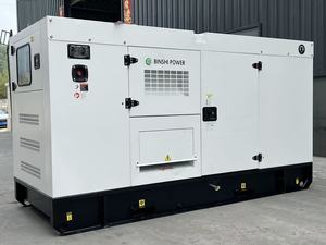 Générateur Diesel 300 kW 413 kVA Insonorisé, Électrique, Énergie Alternative, Groupe Électrogène 50 Hz 60 Hz Super Silencieux, Électricité 330 kW - Product Image 6