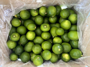 Limones de Exportación a Buen Precio, 100% Naturales, Frescos, Sin Semillas, de Vietnam, Tien Giang, Grado Uno, Cosecha 2019, 10 kg, Sra. Nicky - Product Image 4