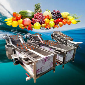 Nouvelle Machine de Lavage et de Pelage de Fruits et de Manioc à Bande Transporteuse Personnalisée, Excellent Rapport Qualité-Prix - Product Image 6