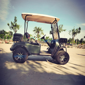 Nouvelle Voiturette de Golf Électrique Tout-Terrain Homologuée Route 2026 – Prix Abordable, 60V, 2 Places - Product Image 3