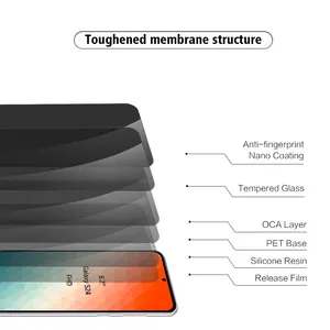 2.5D 9H 0,33mm Anti-Spionage Datenschutz voll klebender Seiden-Anti-Raster Telefonbildschirmschutz für Samsung Galaxy S24 PLUS Ultra