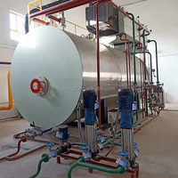 Chaudière à vapeur horizontale basse pression à tubes de feu série WNS 5T, certifiée CE, robuste, pour usine de blanchisserie en Afrique