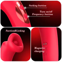 2-in-1 Vibrator für Frauen mit Klitoris-Stimulator, 9 Vibrationsstufen, 3 Saugmodi, USB-Aufladbar, IPX6 Wasserdicht, Nippel-Stimulation