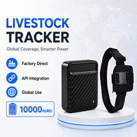 Localizador GPS Inalámbrico 4G 2G WiFi, Resistente al Agua, 10000mAh, Geolocalización, Alarma de Batería Baja, Cobertura de Red Global, Compatible con Múltiples Sistemas