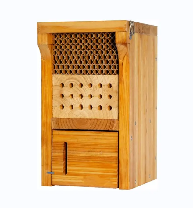 Casa de madeira para abelhas, colmeia automática para insetos, casa de madeira para abelhas, abelha, joaninha, mosquetão, hotel