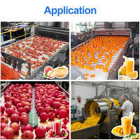 Ligne de production automatique de jus concentré de citron 10-100 tonnes par jour Ligne de production de traitement des boissons