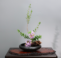 Petit plat en céramique et porcelaine, uni, pour l'arrangement floral, pot à fleurs, assiette à dessert et dîner, ou vase.