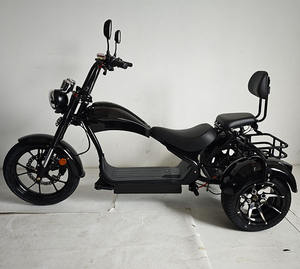 Motocicleta Eléctrica Loyal de 4000w, 50Ah, 50Km/H, con Rastreador GPS, Motocicleta Eléctrica con Certificación EEC COC, Chopper Eléctrico - Product Image 6