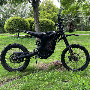 Motocicleta Eléctrica Todoterreno Arctic Leopard Clouded Leopard XE <span class=keywords><strong>Pro</strong></span> S 72V 55Ah 125km/h para Adultos - Product Image 3