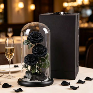 <span class=keywords><strong>Rosa</strong></span> Preservada en Cúpula de Cristal, Caja Cuadrada, Flor Eterna, La <span class=keywords><strong>Bella</strong></span> <span class=keywords><strong>y</strong></span> la <span class=keywords><strong>Bestia</strong></span>, Regalo para Halloween - Product Image 5