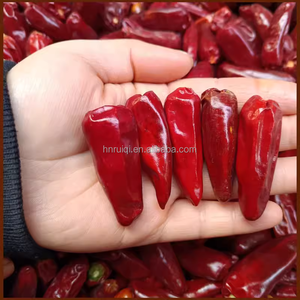Piment rouge épicé Offres Spéciales en gros naturel d'exportation piment séché - Product Image 2