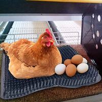 Coussin de nidification pour poules de haute qualité, durable et doux, pour la ponte des œufs, en plastique, pour les boîtes de ponte