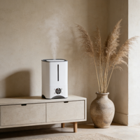 Humidificateur d'air portable, diffuseur de brume froide, purificateur ultrasonique avec lumière romantique pour chambre à coucher et salon