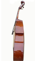 Violon fitness professionnel chinois, 4/4 couleurs différentes, vente en gros, usine, double basse, livraison gratuite