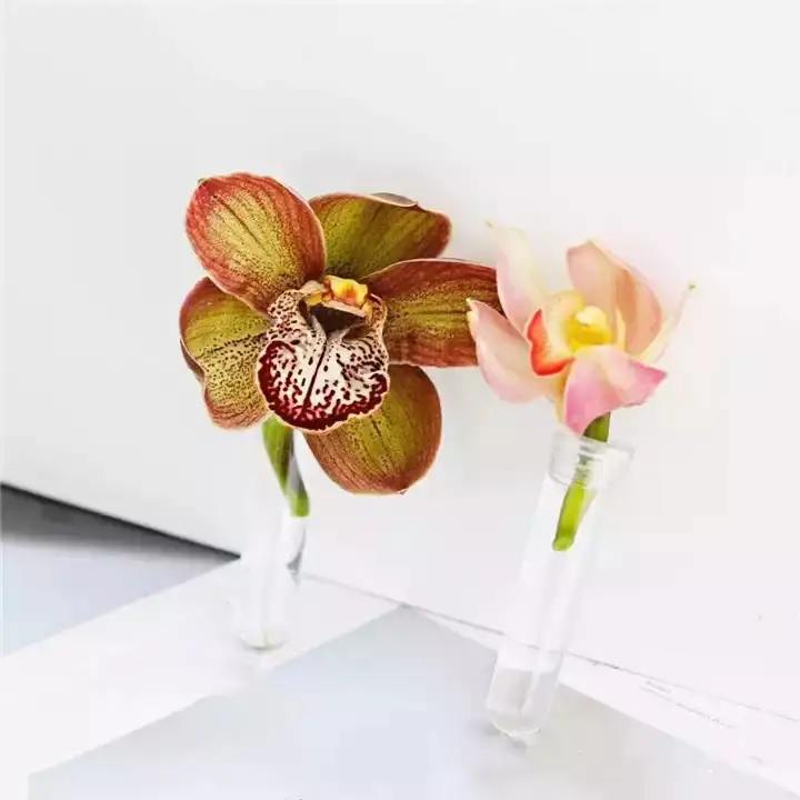 Fleur fraîche en plastique transparent pour fête de mariage, cadeau, événement, artisanat d'art, tige artificielle d'herbe à lait, Arrangement de boutures, Tube d'eau Floral