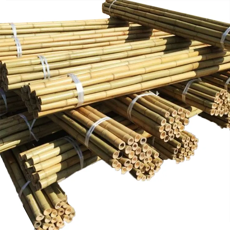 Poles de bambu tratados para venda