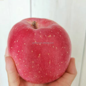 Pommes Fuji de <span class=keywords><strong>bonne</strong></span> qualité, goût frais et sucré, grade 1, 20 kg, origine Shandong, à vendre - Product Image 4