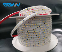 Bande LED en PVC 220V 8mm PCB blanc 120 LED/m double circuit IP67 avec télécommande pour aménagement paysager et usage résidentiel