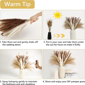 Magnifiques fleurs séchées naturelles Arrangements <span class=keywords><strong>de</strong></span> roseau <span class=keywords><strong>de</strong></span> pampa Bouquets <span class=keywords><strong>de</strong></span> mariage <span class=keywords><strong>de</strong></span> fête pour Noël Pâques Halloween Nouvel An - Product Image 4