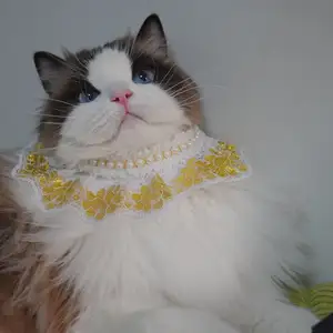 Pet Apparel And Accessories Fancy Pet Bibs Elegant Lace Bowknot Dog Bibs Dog Collar Cat Neck Dog Bandana Scarfs