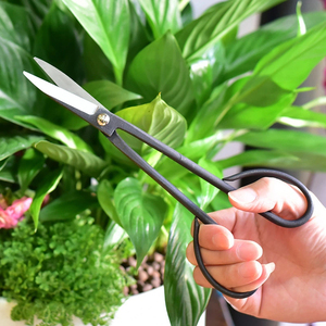 Tijeras Profesionales de Acero con Mango Largo para Bonsái, Podadoras de Ramas de Plantas, Herramienta de Jardinería para Podar Bonsáis y Flores, Herramienta de Injerto de Plantas - Product Image 6