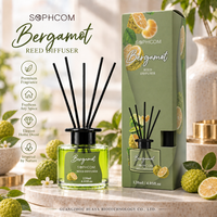 Elegante 120ml geurdiffuser set zonder vlam, met glazen fles voor slaapkamer, badkamer en woondecoratie