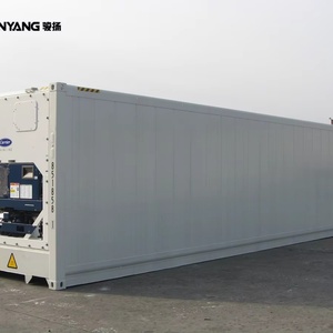 Contenedor Refrigerado de Acero Corten de 40 Pies en Venta en Alemania, Entrega Rápida - Product Image 1