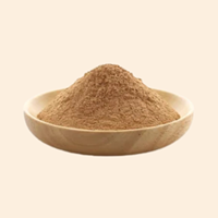 Poudre d'extrait concentré de plantes botaniques Apium Leptophyllum Ajamoda pure pour mélanges de thé et recettes culinaires