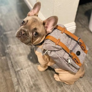 Pet <b>Backpack</b> For Dogs 7 Inch Vintage Style Self Portable Gray Blue Monochrome All Seasons - Product Image 2