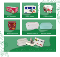 Boîte carrée de paquet de kiwi ondulé recyclé Carton de fruits et légumes avec caractéristiques de gaufrage de stratification brillante et mate