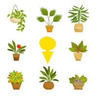 Collant Fly Catcher Plantes d'intérieur Champignon Moucheron Piège Jaune Collant Pièges pour Plantes Moucherons