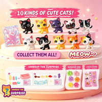 Coffret Surprise Personnalisé pour Animaux de Compagnie : Jouet Maison de Jeu Éducatif, Cage à Chat Réaliste, Porte-clés – Cadeaux pour Enfants
