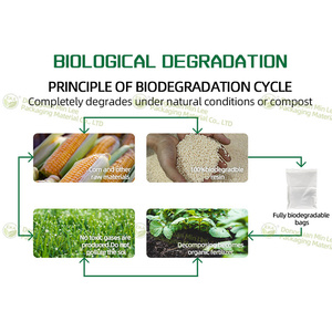 Biodegradable <strong>Bag</strong> Customized Biodegradable Cornstarch PLA Self Adhesive Sealing <strong>Bag</strong> For Scarf Packing <strong>BAG</strong> - Product Image 3